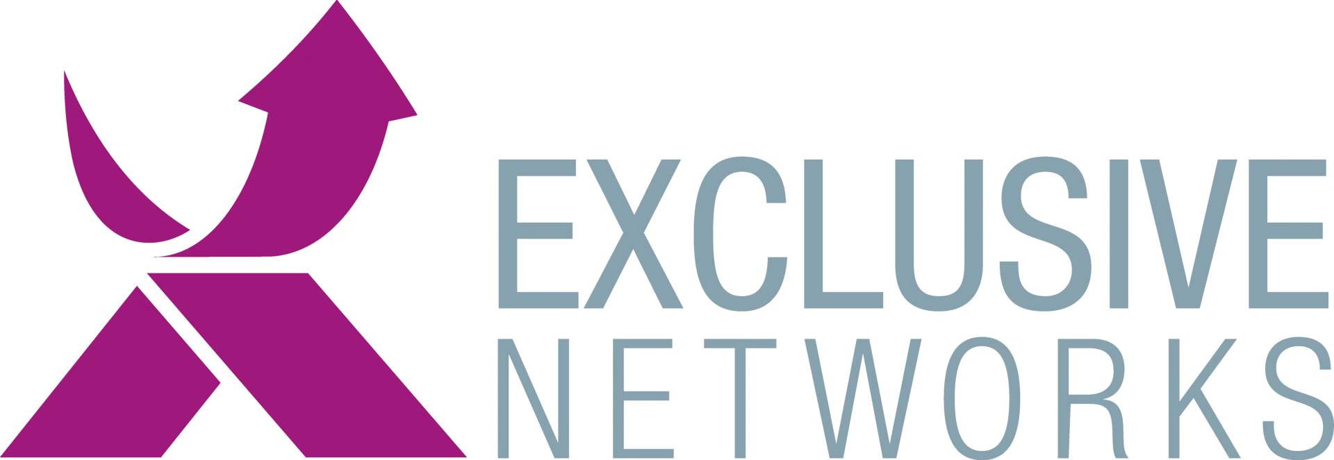 exclusive_networks